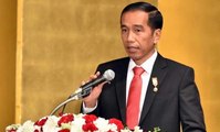 Jokowi Akan Ajak Anggota BEM UI Terjun Langsung ke Asmat