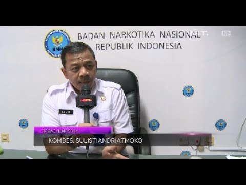 Tanggapan BNN Atas Kasus Narkoba Para Selebriti
