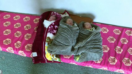 Trigêmeos por Jerusalém