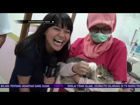 Kegiatan Amel Carla Memeriksakan Kucing Kesayangan ke Dokter Hewan