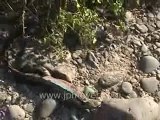 Galapagos Islands travel:Red billed bird