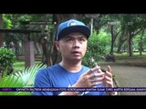 Konsep Para Selebriti Mendidik Anak - anaknya