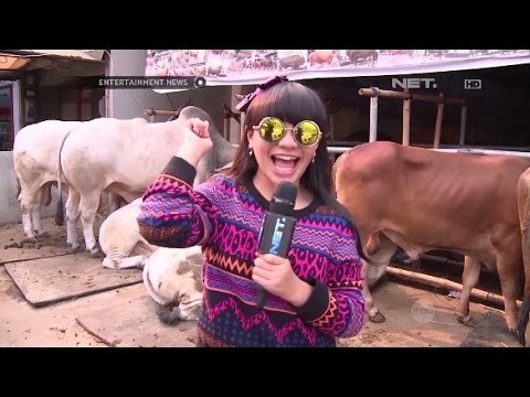 Amel Carla membeli hewan qurban