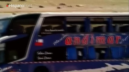 Mueren tres niños chilenos en accidente de autobús en Argentina