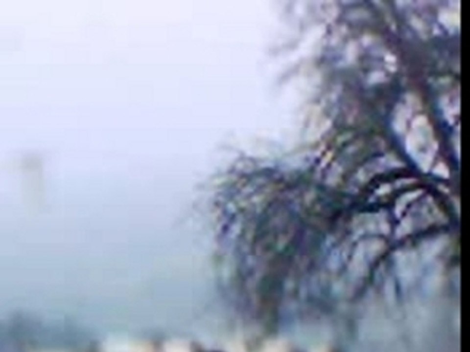 on va voir les vaches !!!!!!!!!!