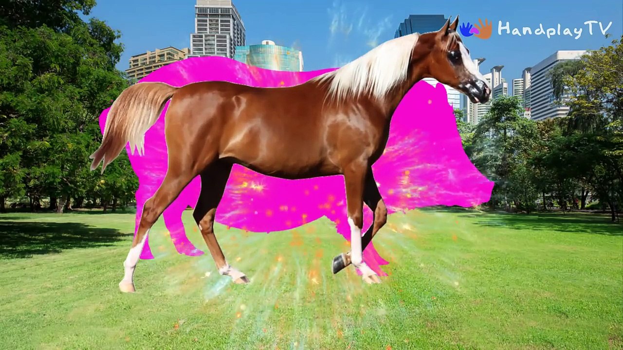 Learn Farm Animals for Kids | Farm Animals Name and Sound Nursery Rhymes | HandplayTv Animals learn