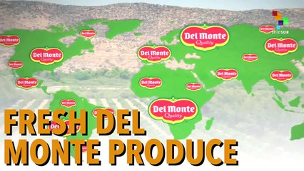 Oranges Are The New Gold