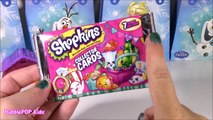 Frozen Treat BAGS! Flarp SLime Putty Lip Balm SHOPKINS DIsney Princess Blind Bags Squinkies! FUN