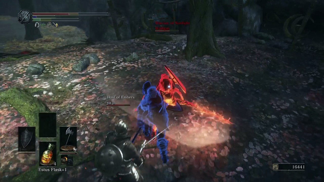A Regular DarkSouls3 Invasion
