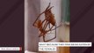 Horrifying Reason Why This Spider Wraps Female Partner In Silk Before Mating