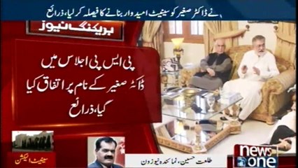 Pak Sarzameen Party , Dr Sagheer decided to Senate candidate