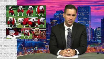 Mascots. What are they hiding under those ridiculous heads?