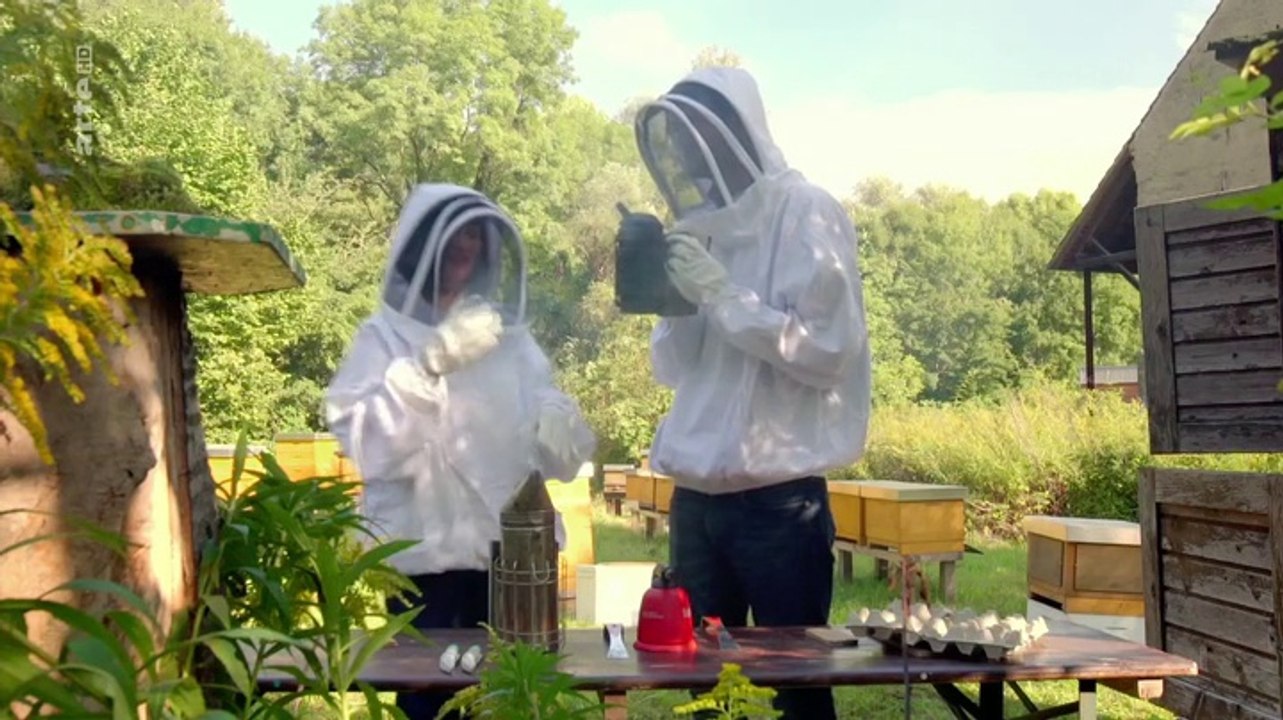 Honig - Vom Bienenstock ins Glas
