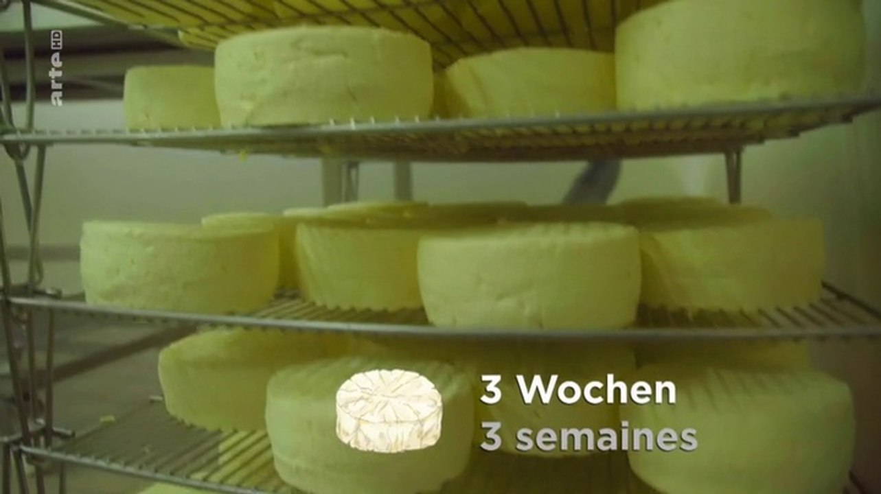 Käse - Wie bekommt er seinen Charakter?