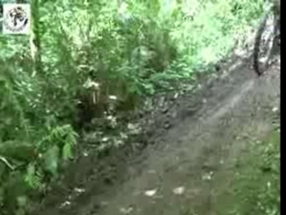 Clip 24HVTT2007