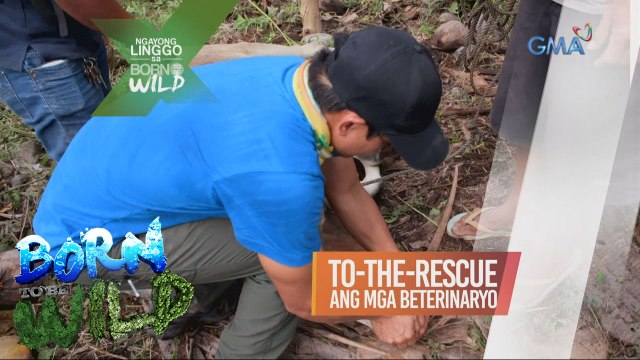 Born to be Wild: Doc Ferds, to the rescue sa mga biktima ng pagsabog ng Bulkang Mayon