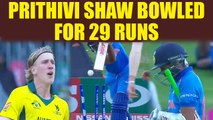 India vs Australia U-19 WC : Prithivi Shaw out for 29 runs, big blow to India | Oneindia News