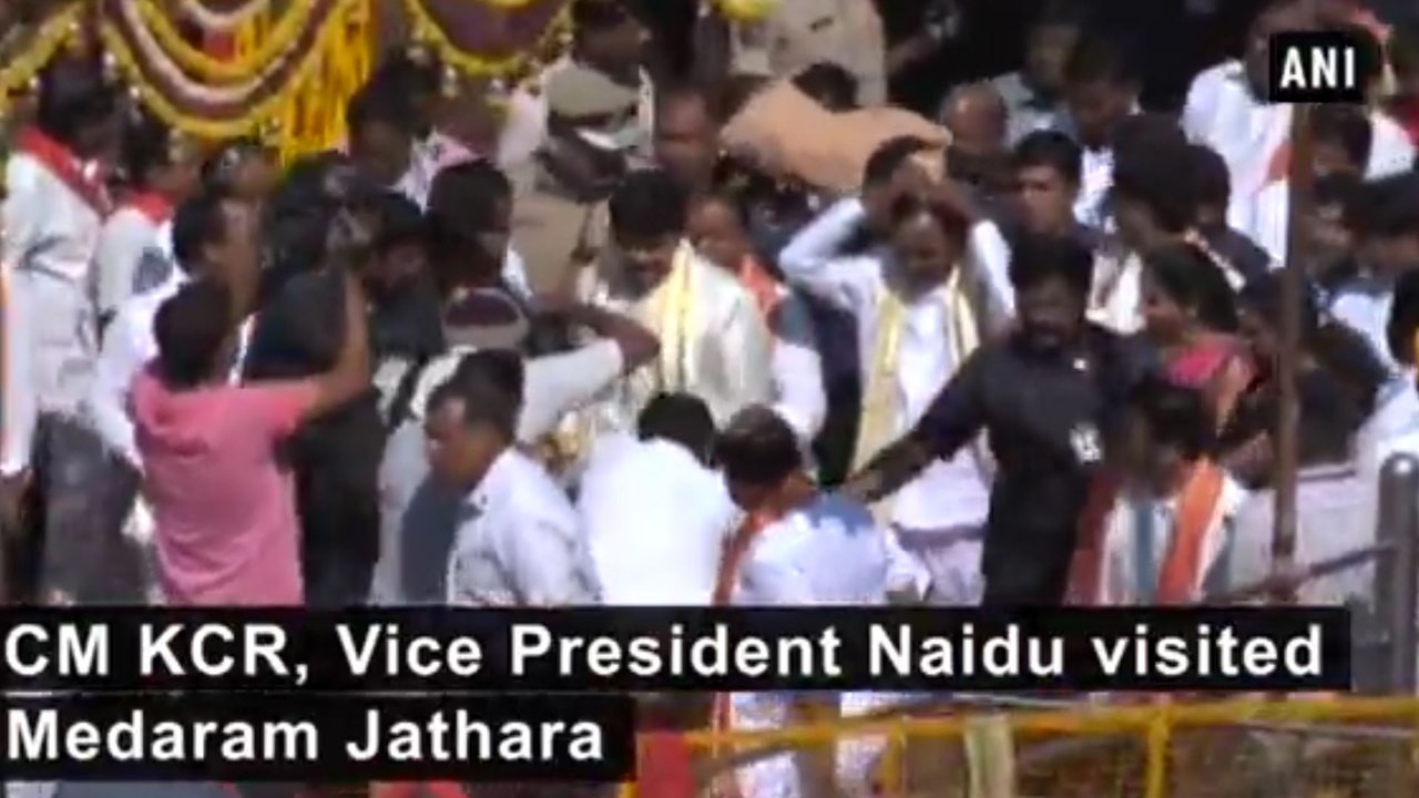 Medaram Jatara : మేడారంలో వెంకయ్య, కేసీఆర్ : వీడియో