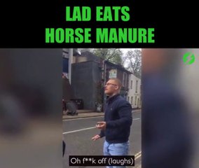 Pour 40€ il mange du crottin de cheval... Challenge bien crade