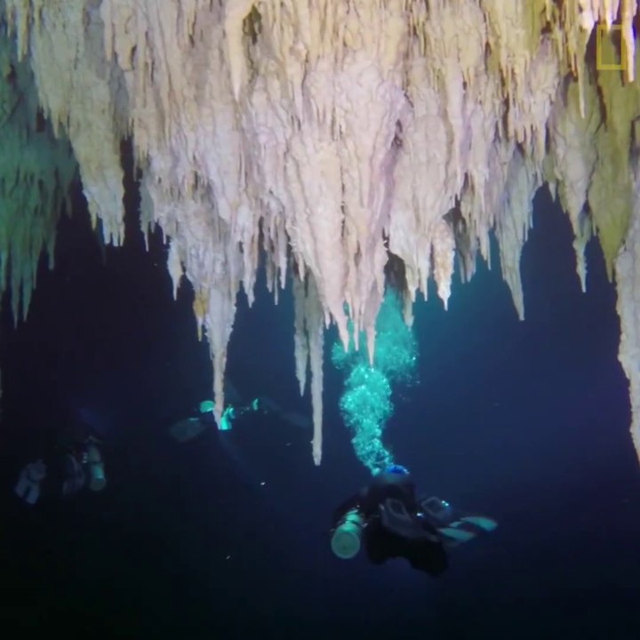 Voici la plus longue cave sous-marine du monde découverte à Tulum au Mexique