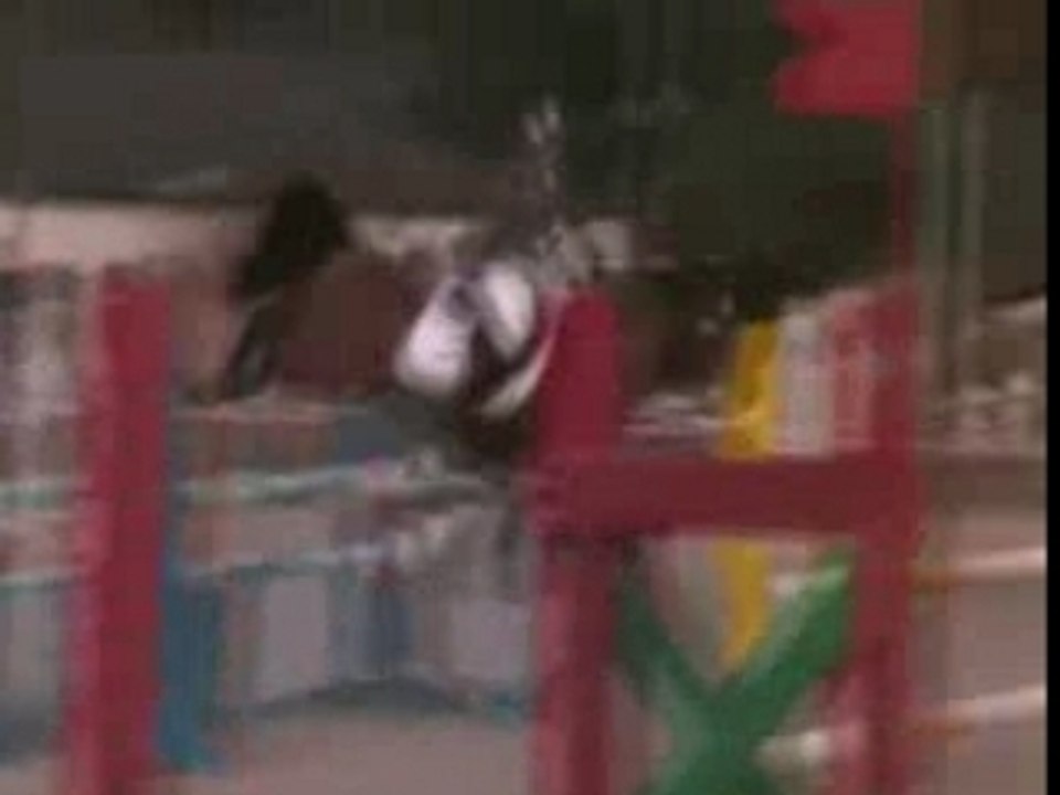 Indien D1p 25nov st martin la garenne