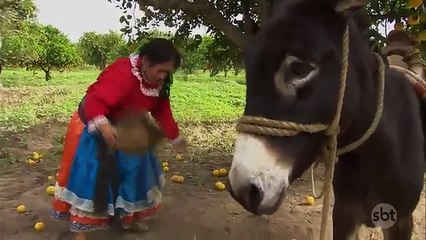 CORAÇÃO INDOMÁVEL - Capitulo 1 - DUBLADO (COMPLETO) 15-01-2018 SBT