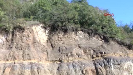 Kocaeli Heyelan Bölgesine 4 Bin 500 Fidan Dikildi