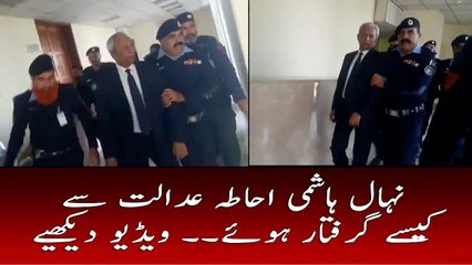 How police arrest Nehal Hashmi in court Watch the video