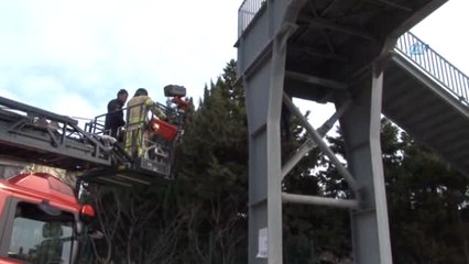 Büyükçekmece E-5'te Köprüye Asılı İran Uyruklu Şahsın Cesedi Bulundu