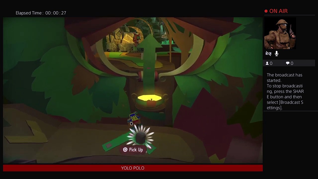 Tearaway (10)