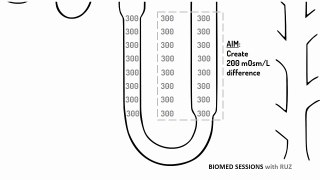 LOOP OF HENLE explained!!