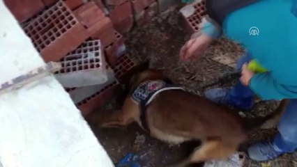 Uyuşturucu operasyonu - KIRIKKALE