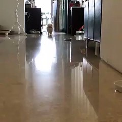 Yes Daddy, I am comming!