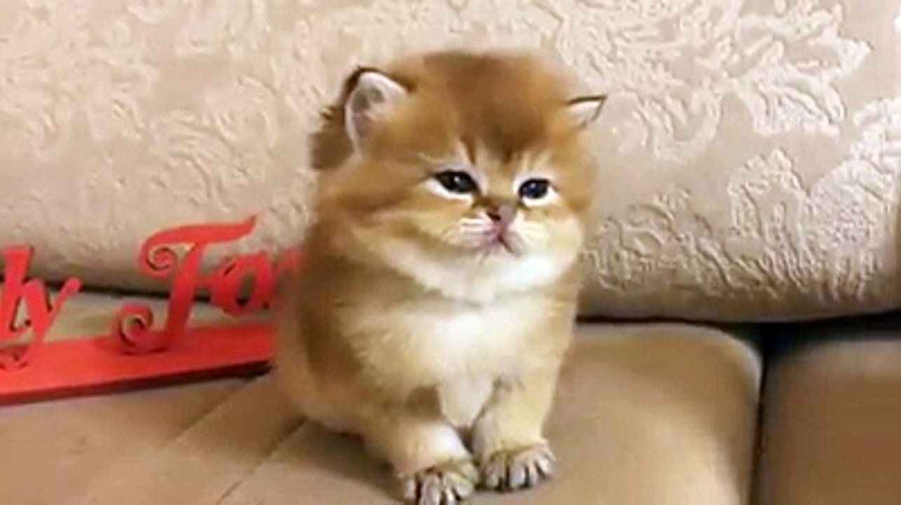 So.... sleepy!