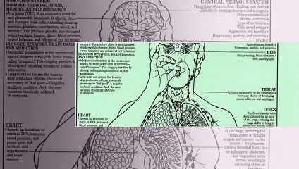 Recognize the Symptoms of Synthetic Substance Use 🚨