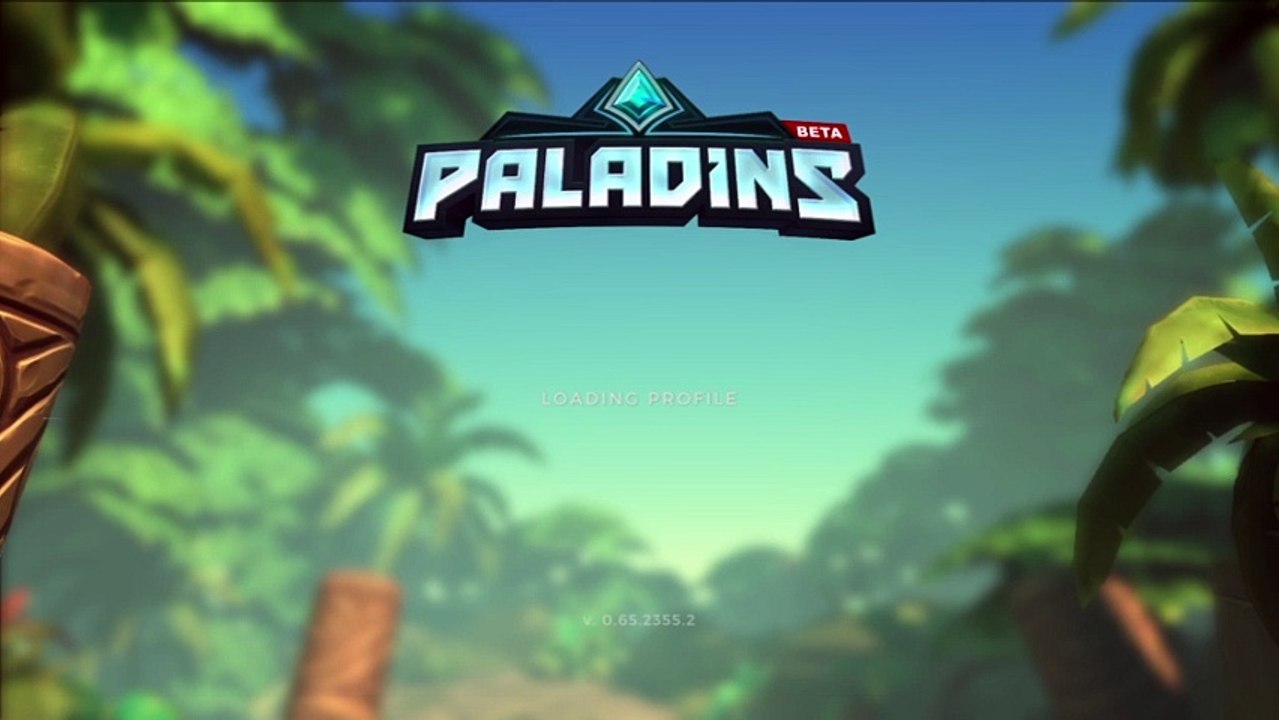 paladin pro