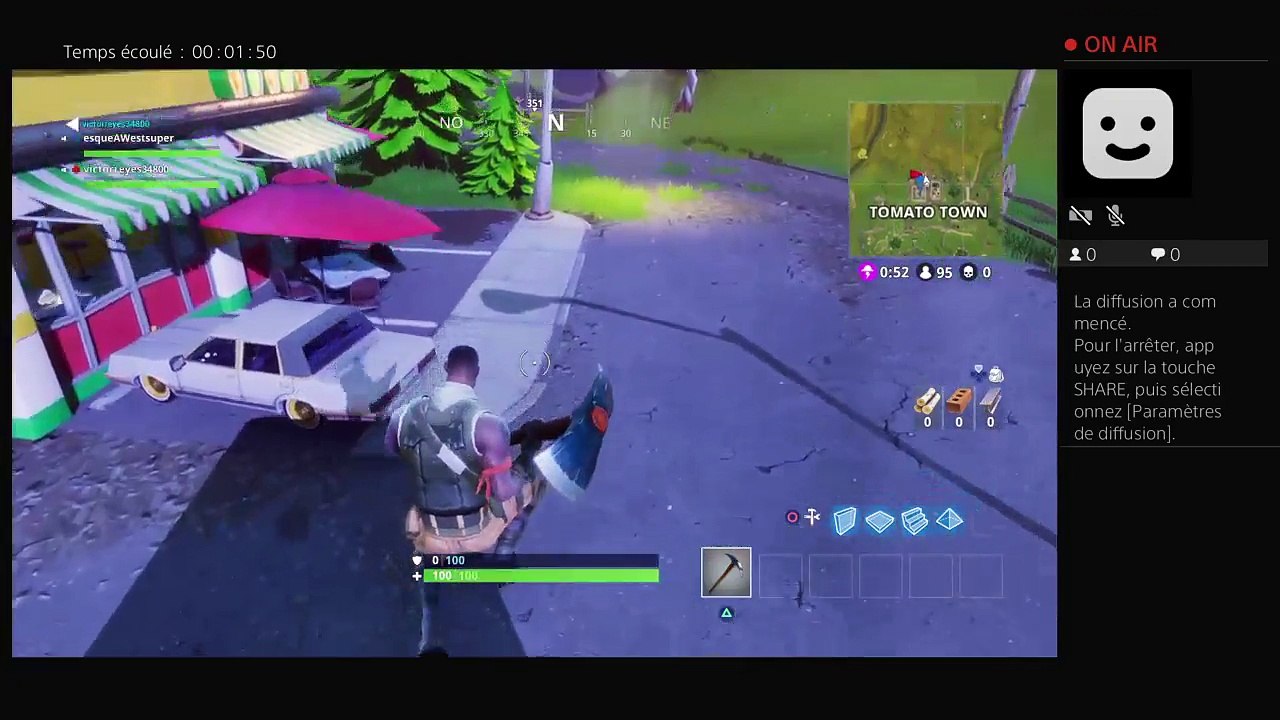 Fortnite (2)