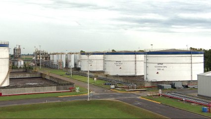 US import tariffs on Argentina biofuels hurt producers