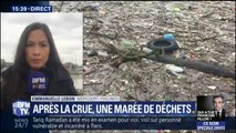 Crue de la Seine: 200 tonnes de déchets retenus dans les Yvelines