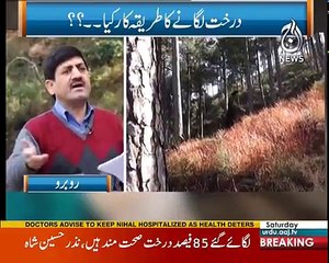 Rubaru - 3rd February 2018