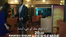 مسلسل طيور بلا أجنحة مترجم للعربية - اعلانات الحلقة 33
