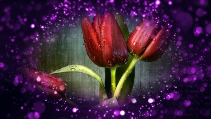 Привітання з Днем народження жінці