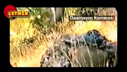 -BORDO BERELİLER-İSİMSİZ YİĞİTLER