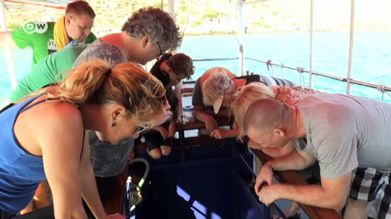 Urlaubsparadies kreta | dw deutsch