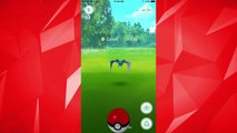 Pokémon Go: O que fazer com tantos Zubats? - IGN Reportagens