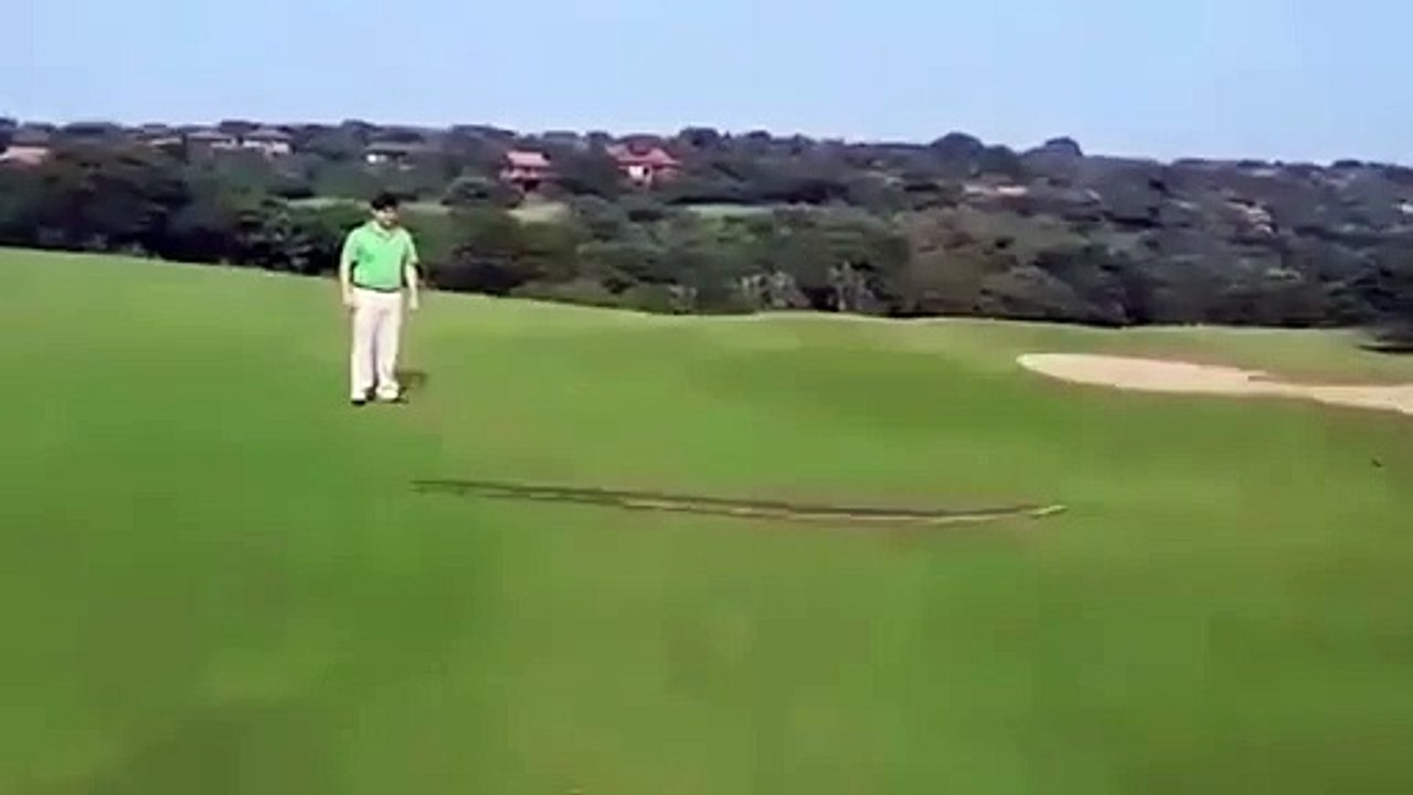 A esta serpiente pitón gigante le gusta el golf
