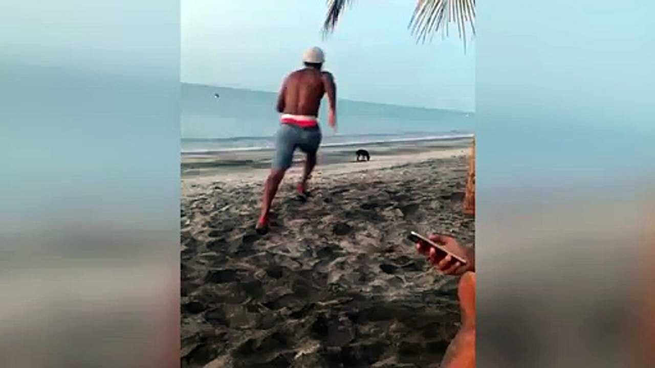 intenta dar patada a un perro y acaba humillado