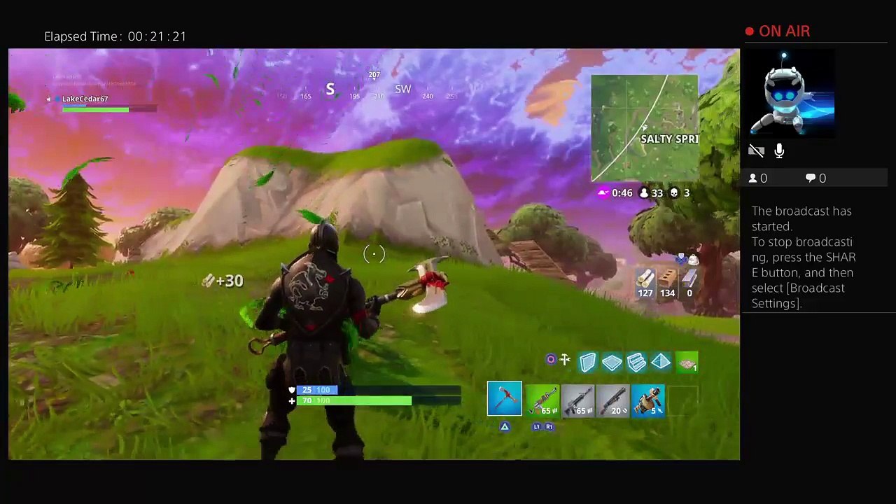 Fortnite plays (2)