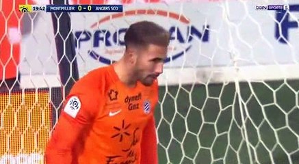 Montpellier 2-1 Angers - les Buts - 03.02.2018