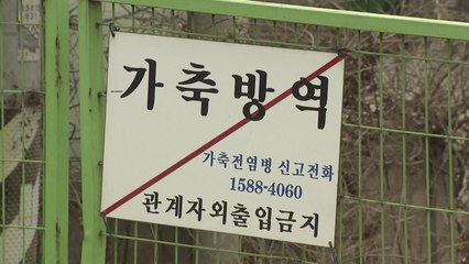 'AI 사면초가' 충남...차단 방역 총력전 / YTN